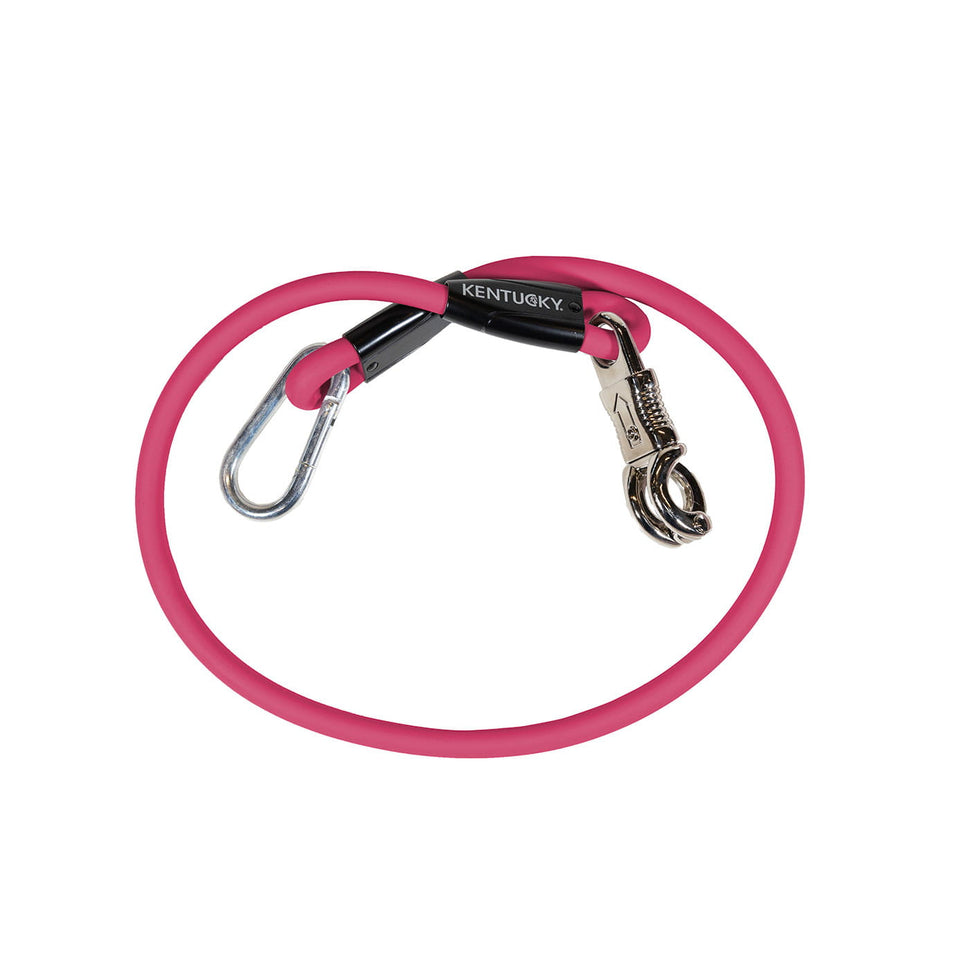 Kentucky Horsewear Silicone Horsebox Lead and Cross Tie - Pink