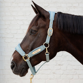 Kentucky Horsewear Velvet Headcollar - Light Blue