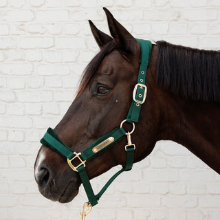 Kentucky Horsewear Velvet Headcollar - Pine Green
