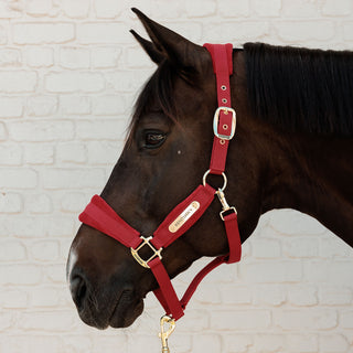 Kentucky Horsewear Velvet Headcollar - Red