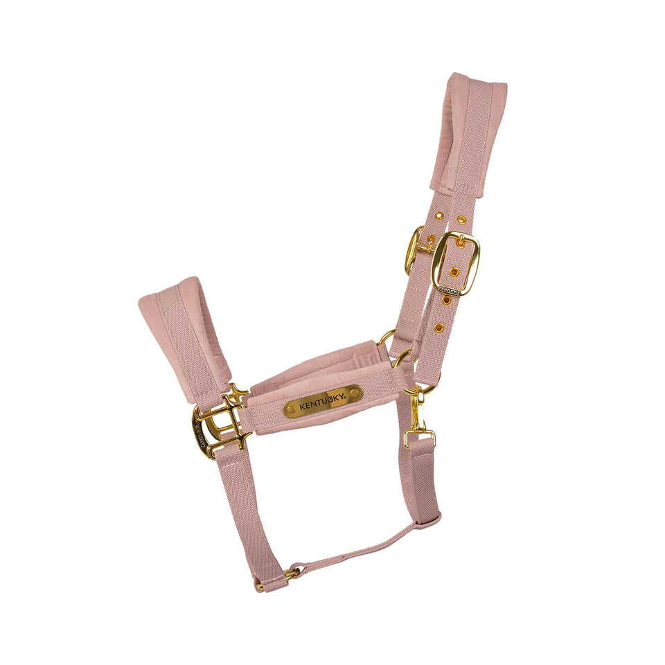 Kentucky Horsewear Velvet Headcollar - Soft Rose