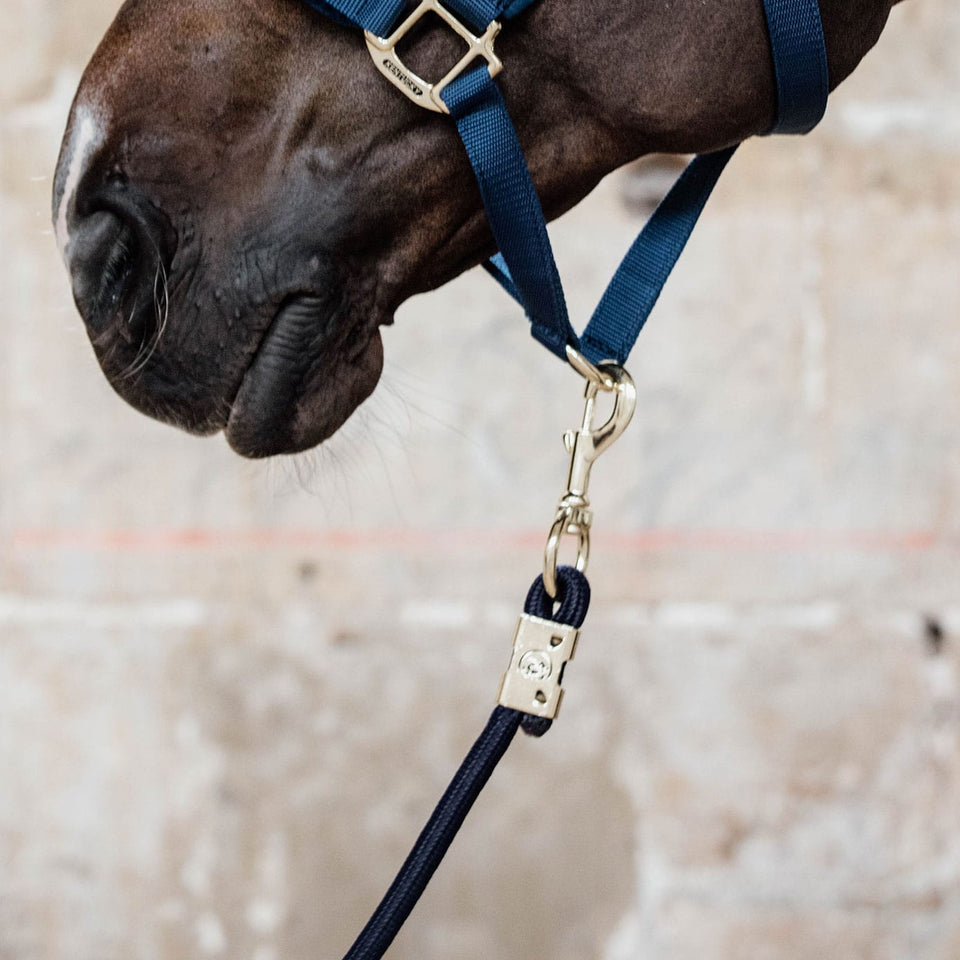 Kentucky Horsewear Lead Rope - Navy