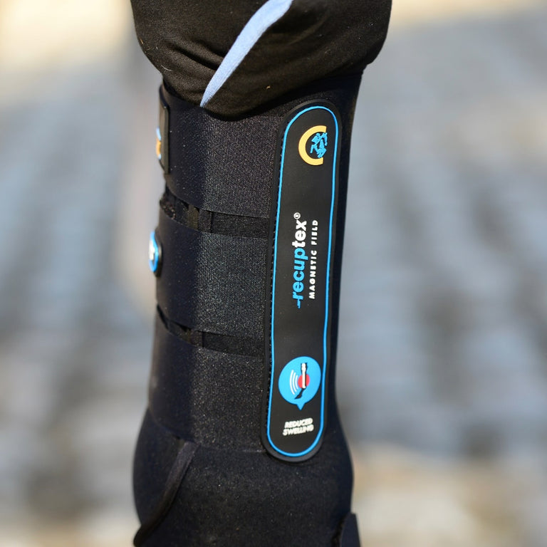 Kentucky Horsewear Recuptex/Texishield Stable Boots