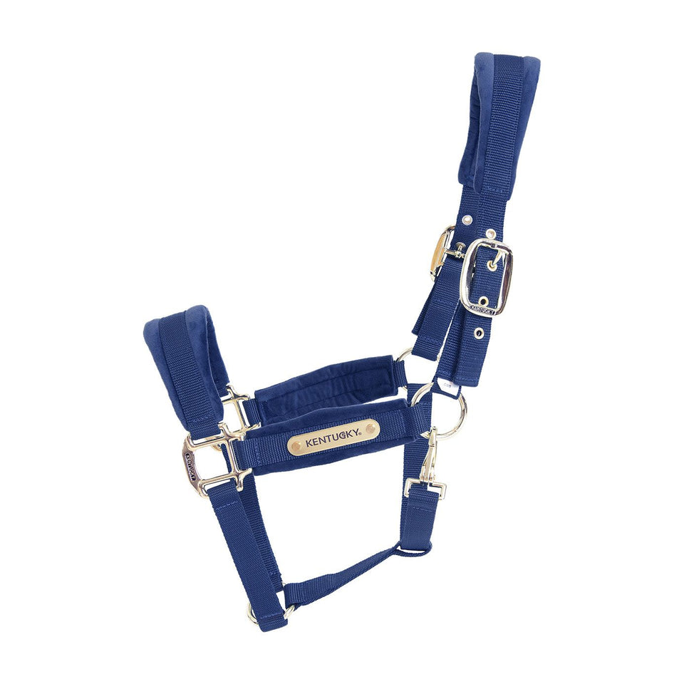 Kentucky Horsewear Velvet Headcollar - Navy