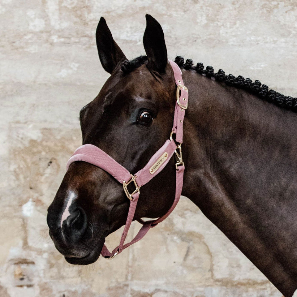 Kentucky Horsewear Velvet Headcollar - Old Rose