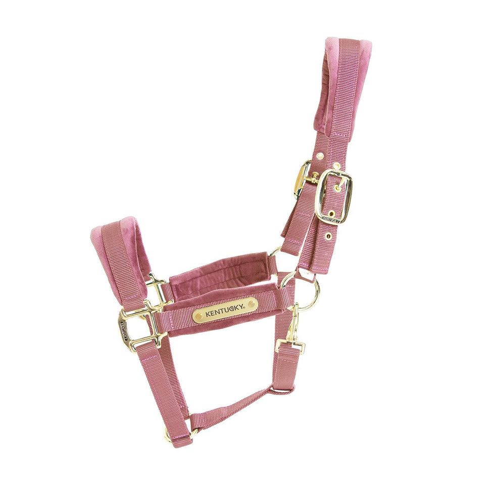 Kentucky Horsewear Velvet Headcollar - Old Rose