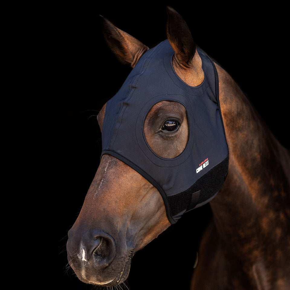 Lami-Cell Come Best Titanium Mask Without Ears