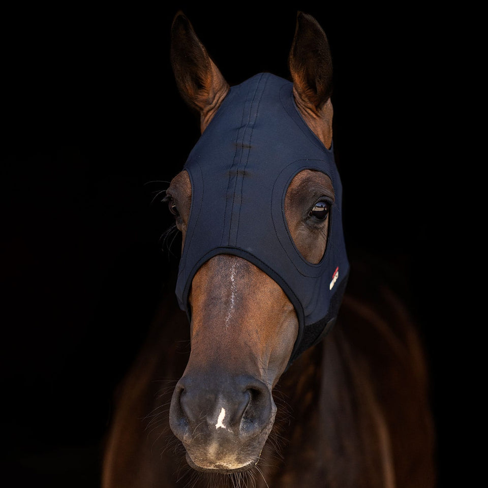 Lami-Cell Come Best Titanium Mask Without Ears
