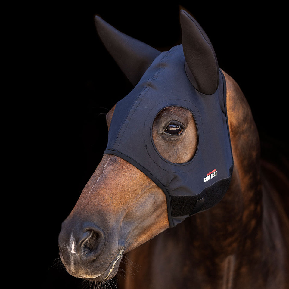 Lami-Cell Come Best Titanium Mask With Ears