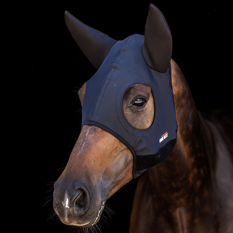 Lami-Cell Come Best Titanium Mask With Ears