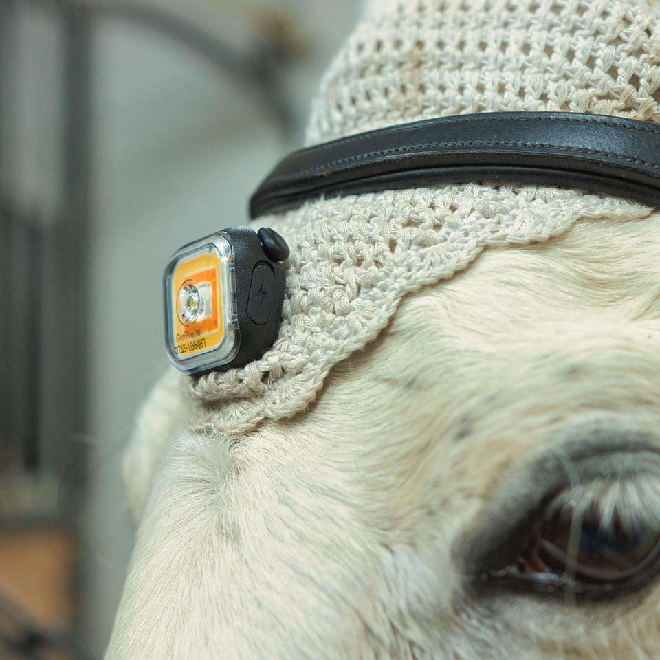 Meolinq LightPlus Wearable Light