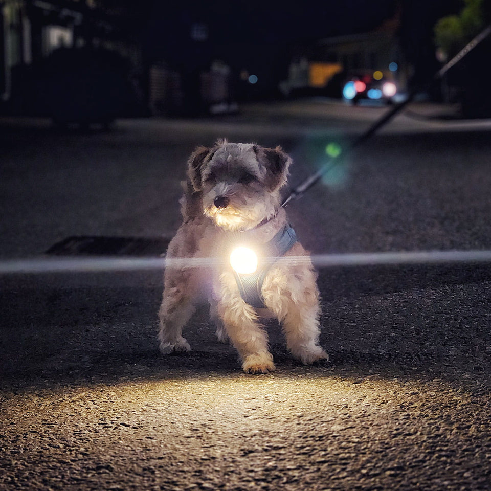 Meolinq LightPlus Wearable Light