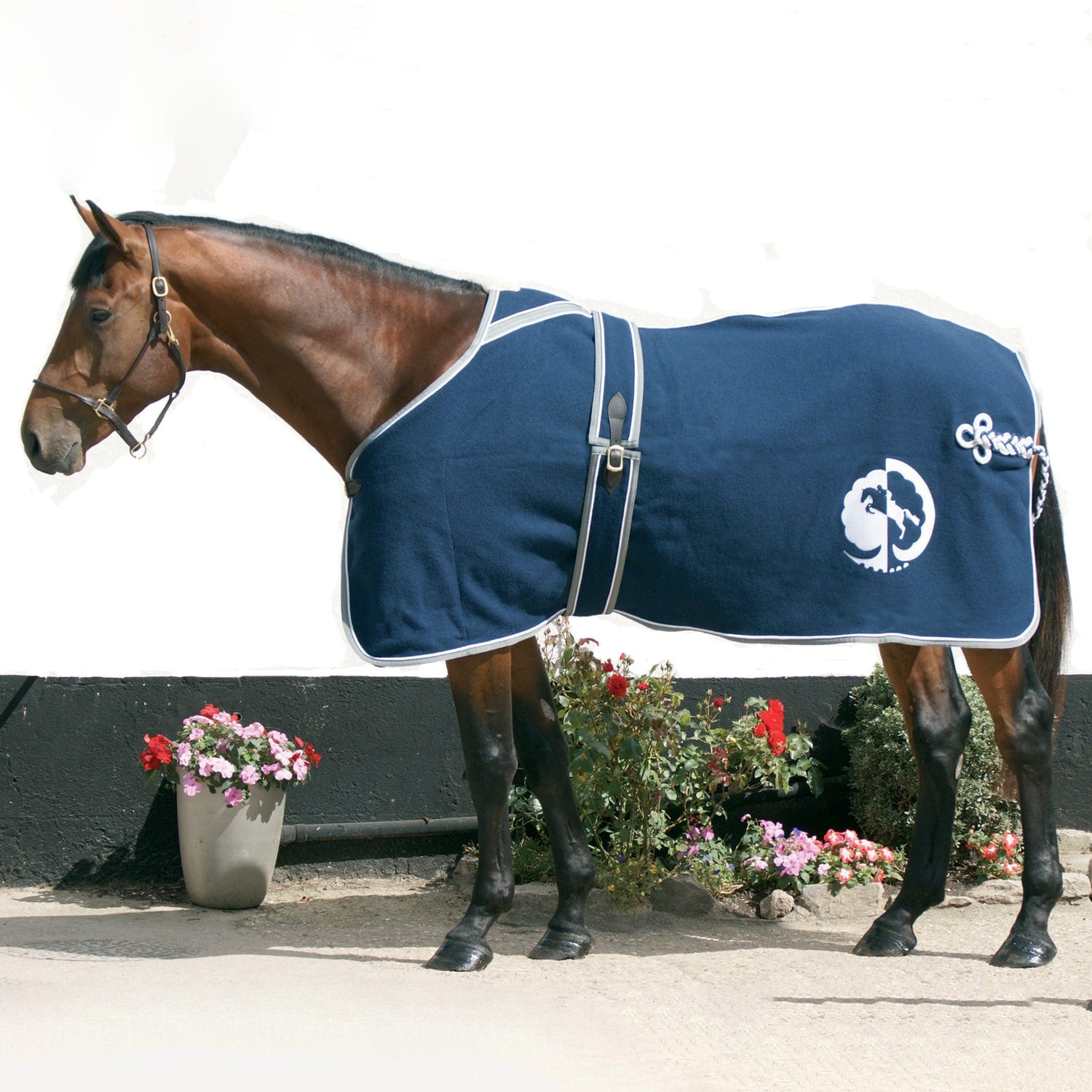 Equiport Wool Show Rug | Personalised Horse Rug & Equiport Equestrian