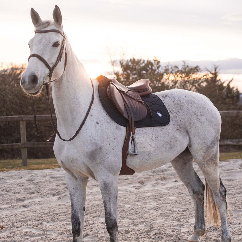 Samshield SpineShield Embroidery Jumping Saddle Cloth - Grey