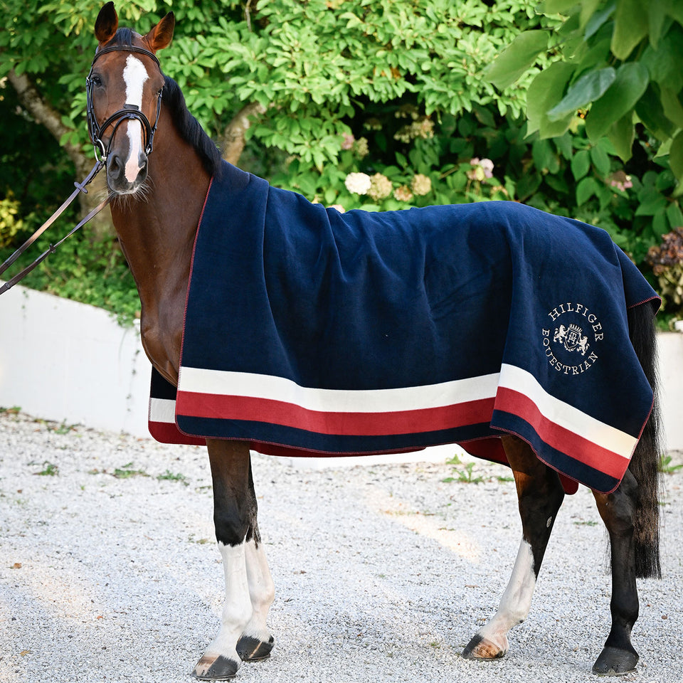 Tommy Hilfiger Hillsdale Square Blanket - Desert Sky Multi