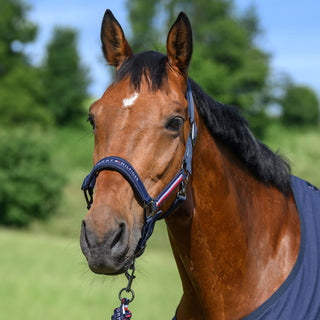 Tommy Hilfiger Lincoln Headcollar - Desert Sky