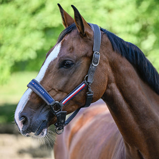 Tommy Hilfiger Lincoln Headcollar - Pine