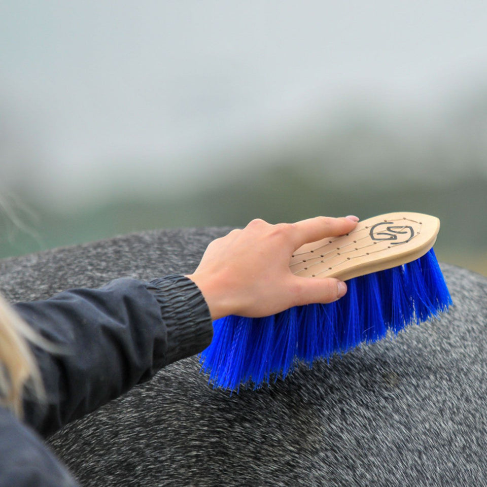 Trust Medium Dandy Brush - Wood/Blue