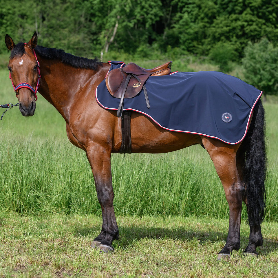 Tommy Hilfiger Springfield Riding Rug - Desert Sky