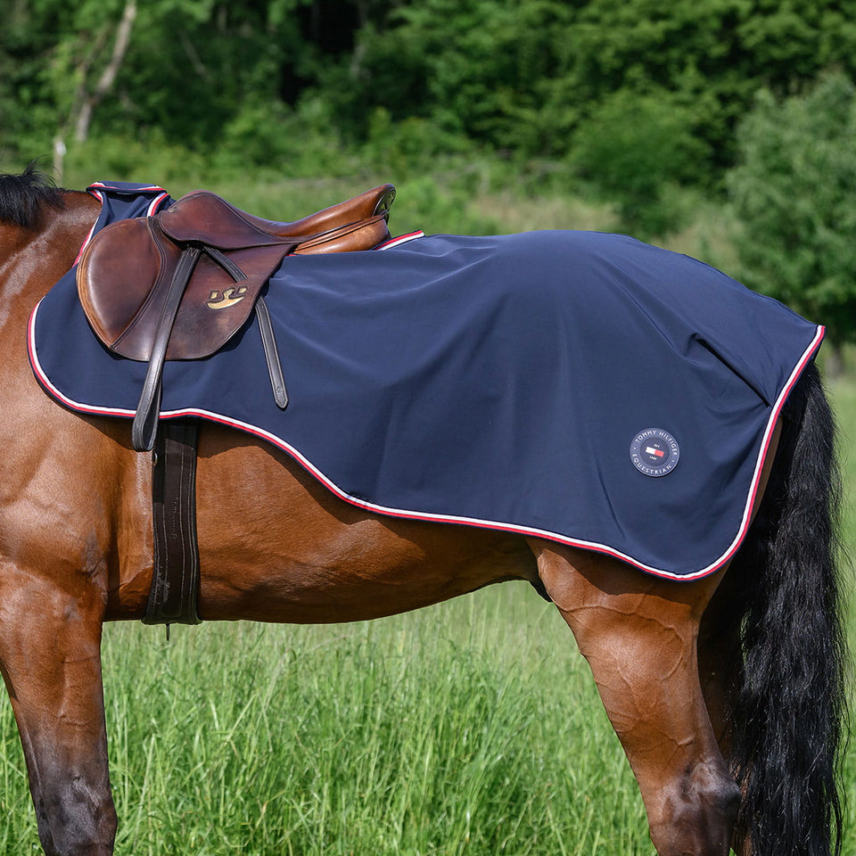 Tommy Hilfiger Springfield Riding Rug - Desert Sky