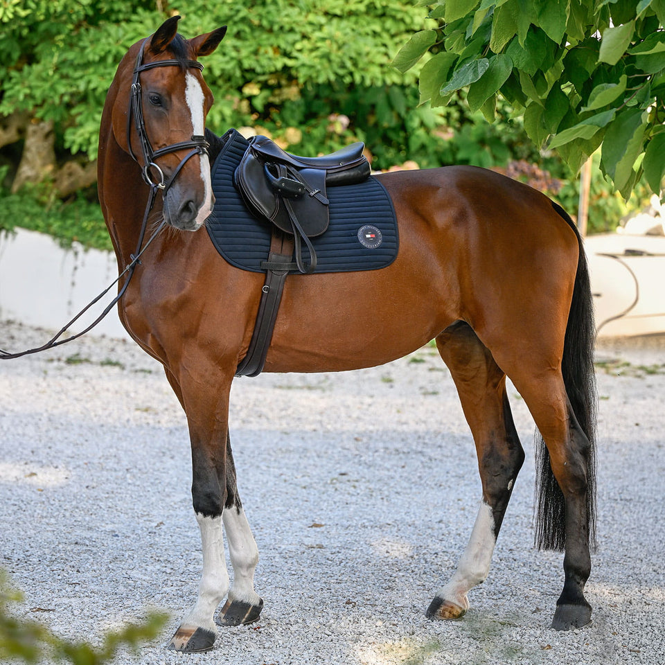 Tommy Hilfiger Upstate Jumping Saddle Cloth - Desert Sky