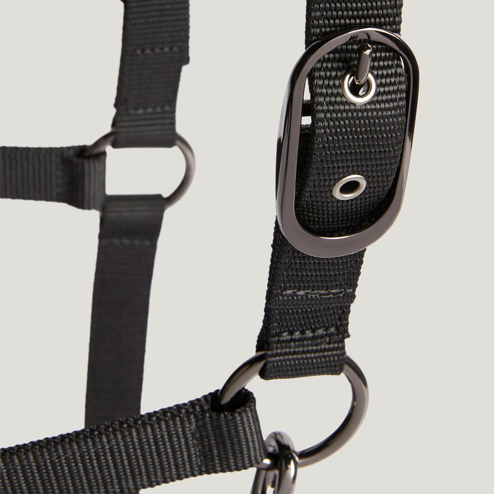 Tommy Hilfiger Yale Shine Headcollar and Lead Rope Set - Black