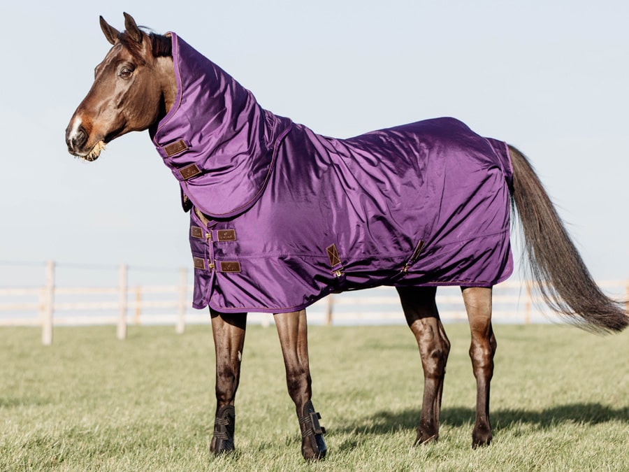 Exercise Rug Horses Horse Rugs & Equiport Equestrian