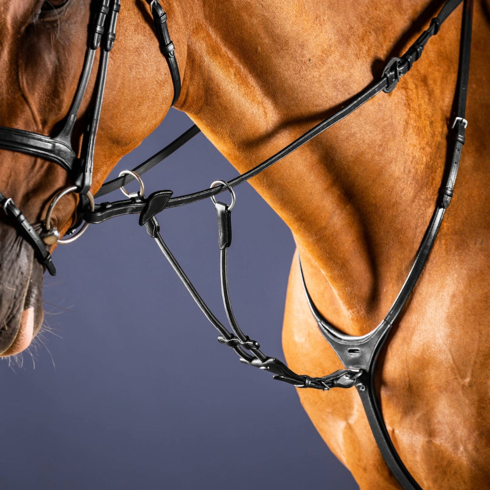 Dy'on New English Elastic Running Martingale Attachment - Black