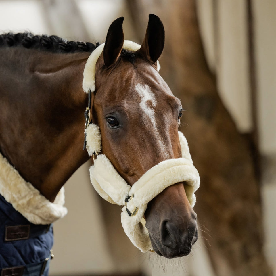 Kentucky Horsewear Sheepskin Headcollar - Natural