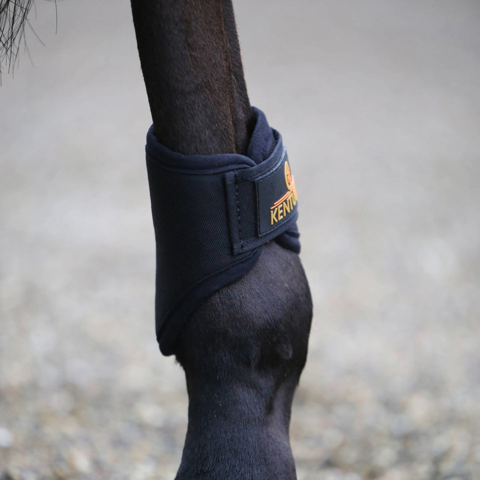Kentucky Horsewear 3D Spacer Brushing Boots Hind - Black