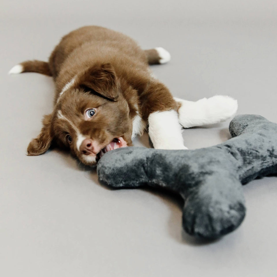 Kentucky Dogwear Bone Dog Toy - Grey