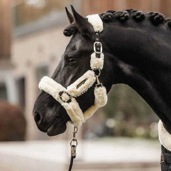 Conchos & Studs - Larry Smith