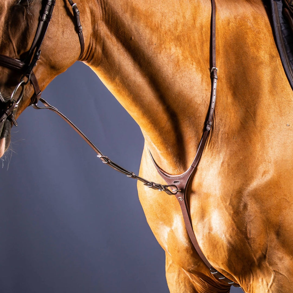 Dy'on New English Standing Martingale Attachment - Brown