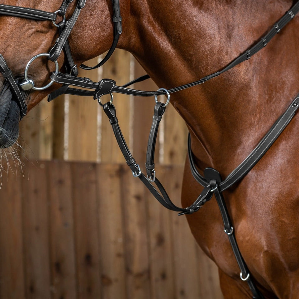Dy'on Working Collection Running Martingale Attachment - Black