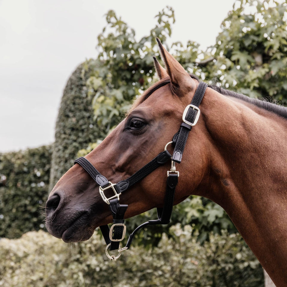 Kentucky Horsewear Plaited Nylon Headcollar - Black