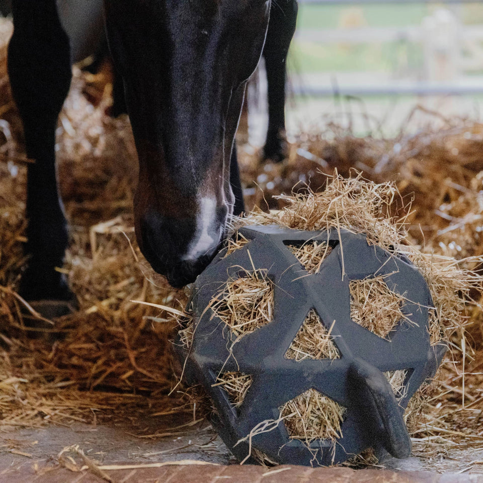 Kentucky Horsewear Relax Horse Hay & Play Ball - Grey