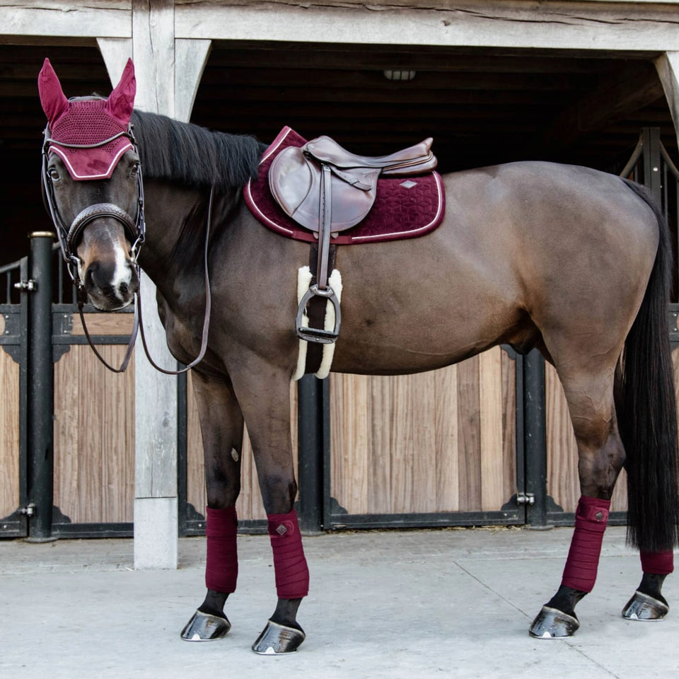 Kentucky Horsewear Velvet Jumping Saddle Cloth - Bordeaux