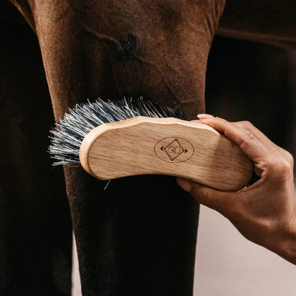 Brosse Dandy Perry Bicolore Vert Pour Cheval Et Poney - Matériel Toilettage Neuf