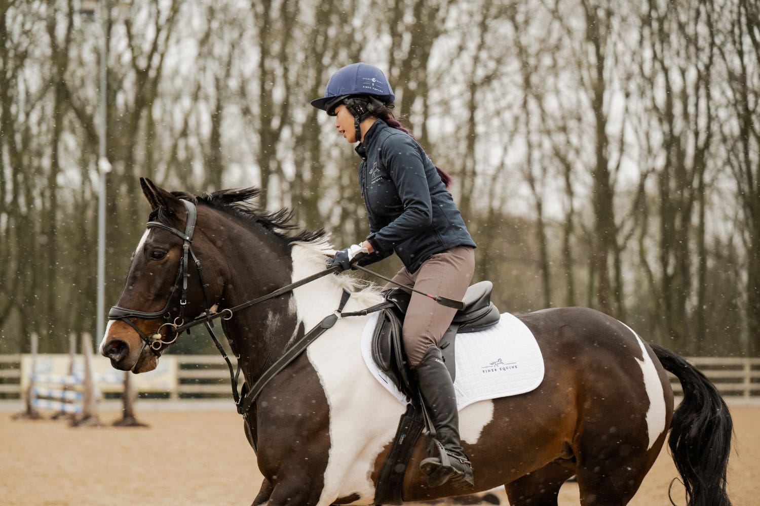 Finer Equine