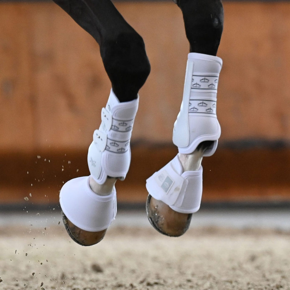 Veredus Absolute Dressage Boots Elastic Front - White
