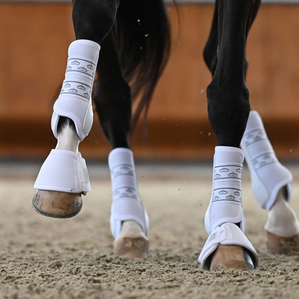Veredus Absolute Dressage Boots Elastic Front - White