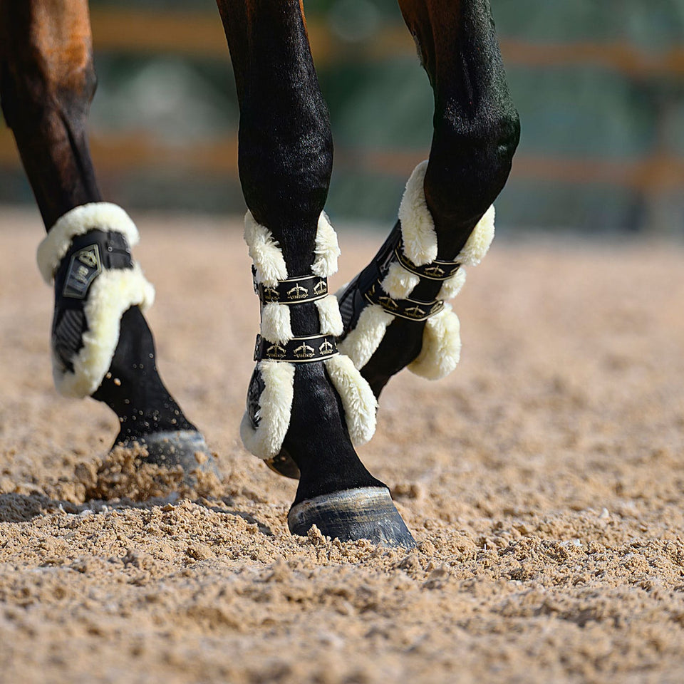 Veredus Carbon Gel Absolute STS Tendon Boots - Black