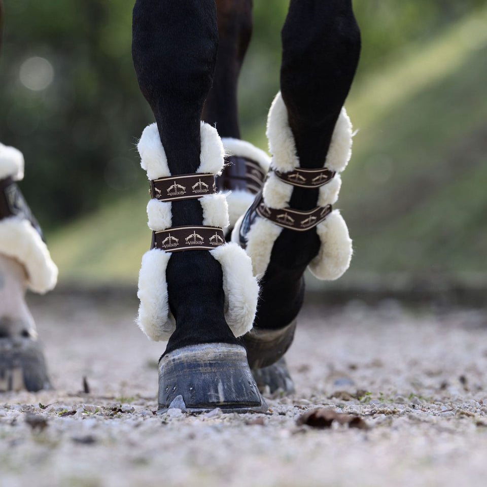 Veredus Carbon Gel Absolute STS Tendon Boots - Brown