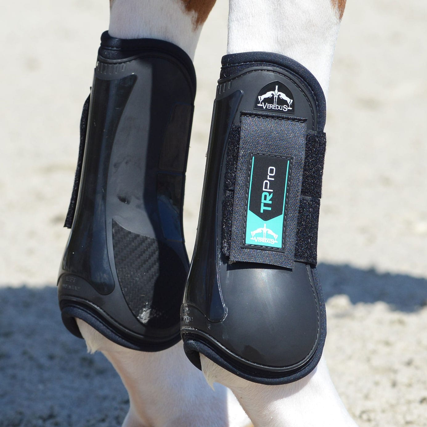 Tr Pro Veredus Equestrian TR Pro Tendon Boots | Black & Equiport Equestrian
