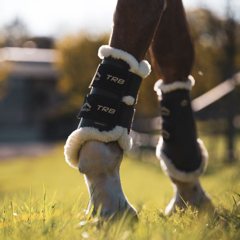 Veredus TRB STS Brushing Boots Front - Black