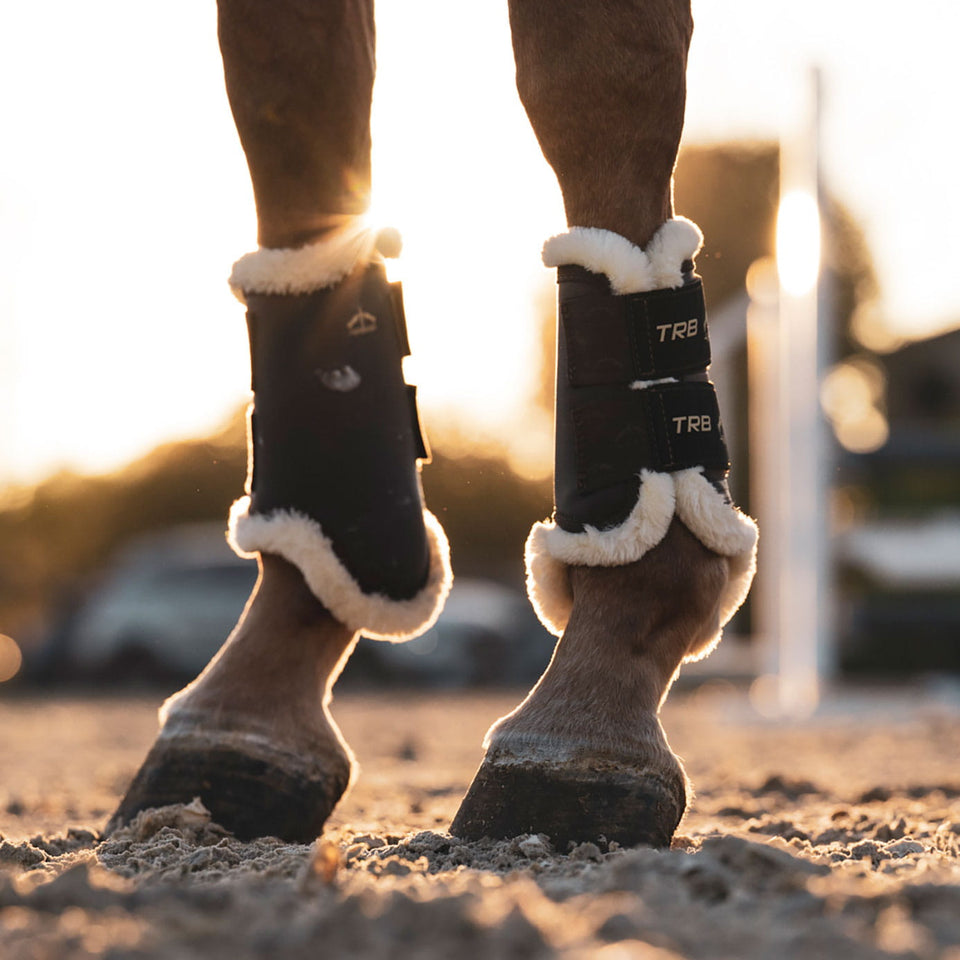 Veredus TRB STS Brushing Boots Front - Brown