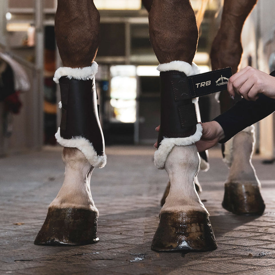 Veredus TRB STS Brushing Boots Front - Brown