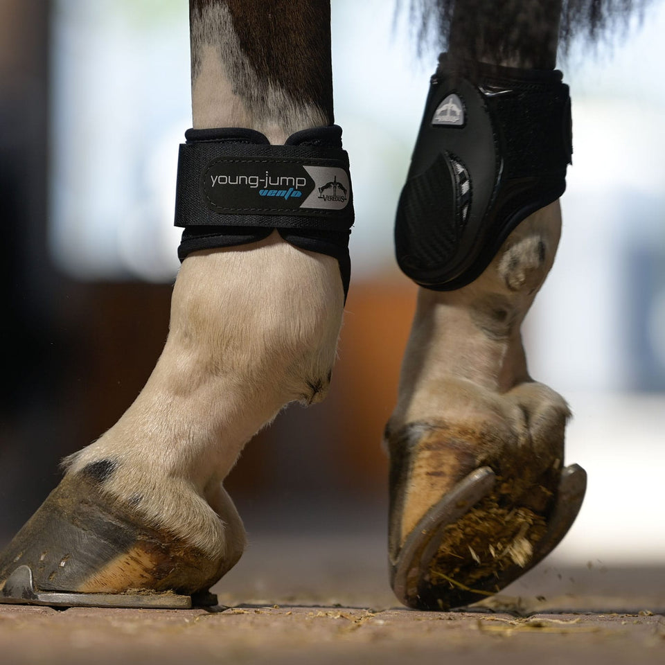 Veredus Young Jump Vento Fetlock Boots - Black