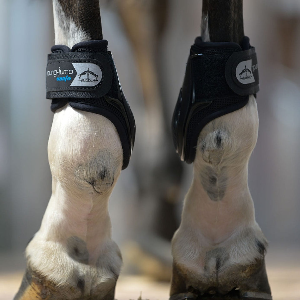Veredus Young Jump Vento Fetlock Boots - Black