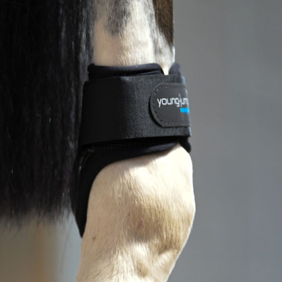 Veredus Young Jump Vento Fetlock Boots - Black